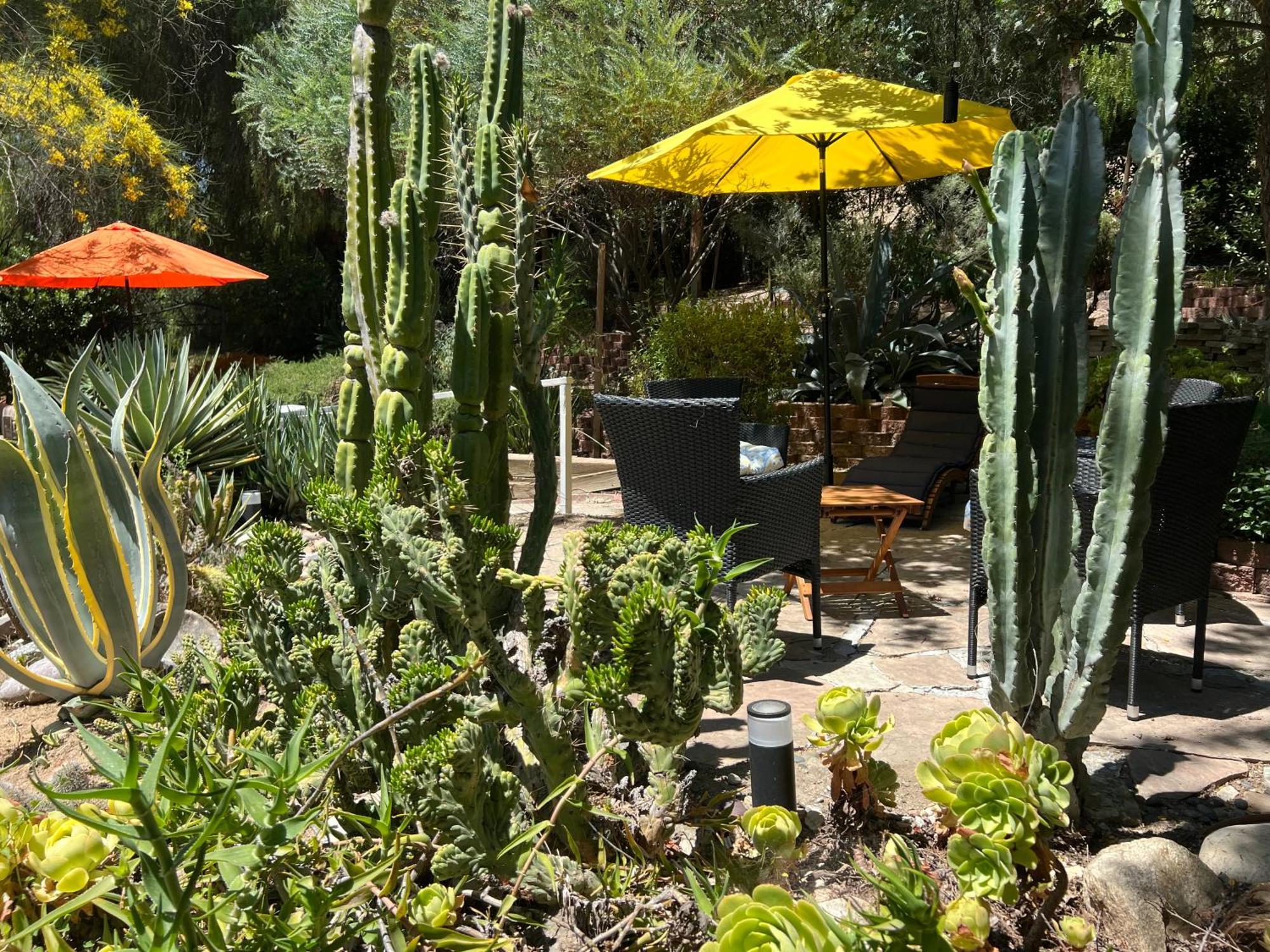 Villa La Reforma - Newly Designed 4Br House & Pool In Los Angeles By Topanga 外观 照片