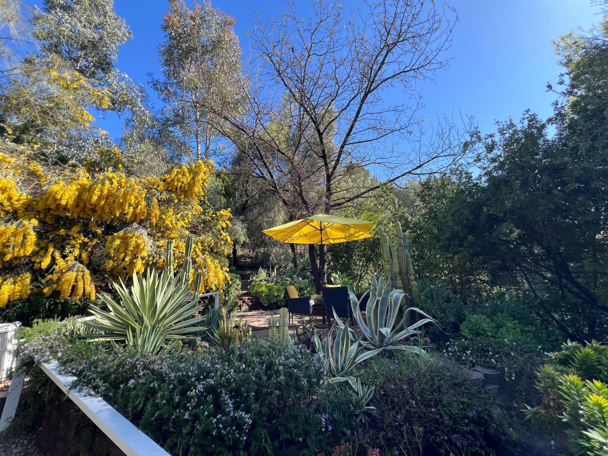 Villa La Reforma - Newly Designed 4Br House & Pool In Los Angeles By Topanga 外观 照片